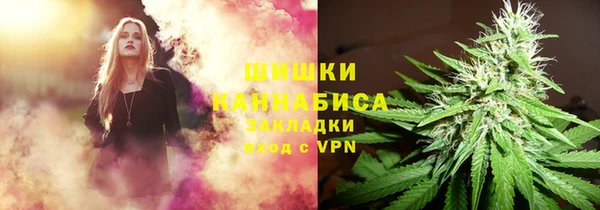 прущие грибы Аркадак