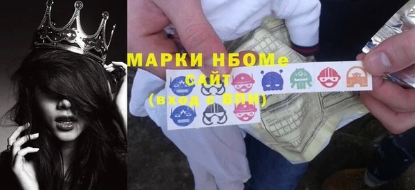 прущие грибы Аркадак