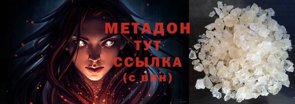 прущие грибы Аркадак