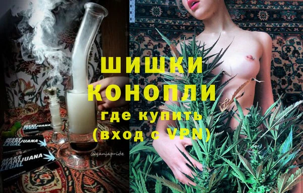 прущие грибы Аркадак