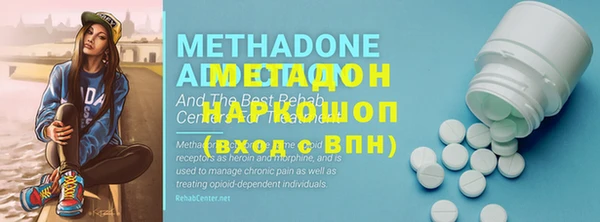 прущие грибы Аркадак