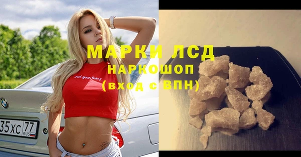 прущие грибы Аркадак